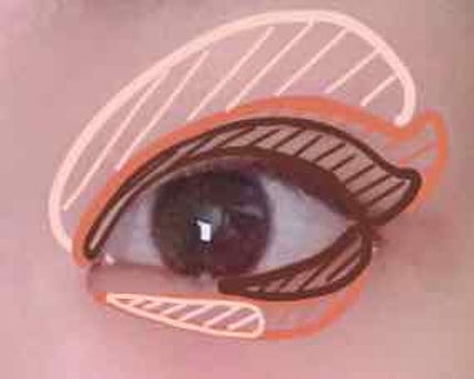 ラブ・ライナー リキッドアイライナーR3/ラブ・ライナー/リキッドアイライナーを使ったクチコミ(3枚目)