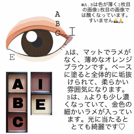 UR GLAM BLOOMING EYE COLOR PALETTE/U R GLAM/アイシャドウパレットを使ったクチコミ(4枚目)