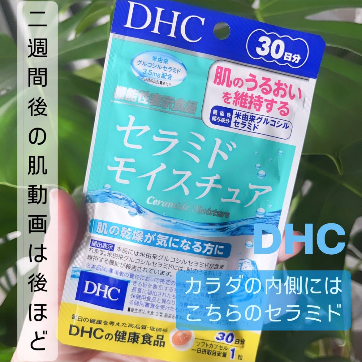 セラミド モイスチュア/DHC/美容サプリメントを使ったクチコミ(2枚目)