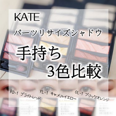 パーツリサイズシャドウ/KATE/アイシャドウパレットを使ったクチコミ（1枚目）