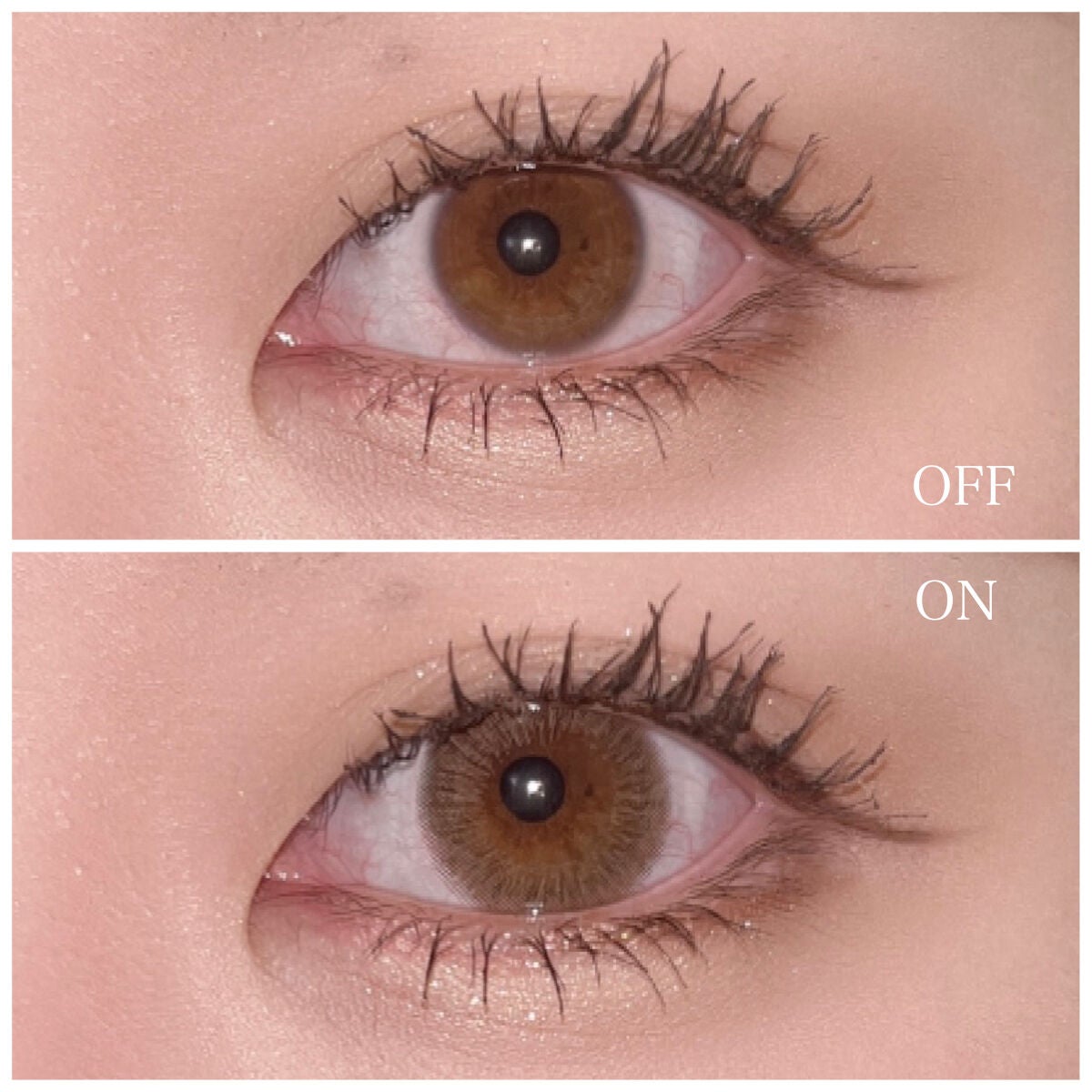 スワニーピュアチョコ(Swany Pure Choco)/OLOLA/カラーコンタクトレンズを使ったクチコミ(3枚目)