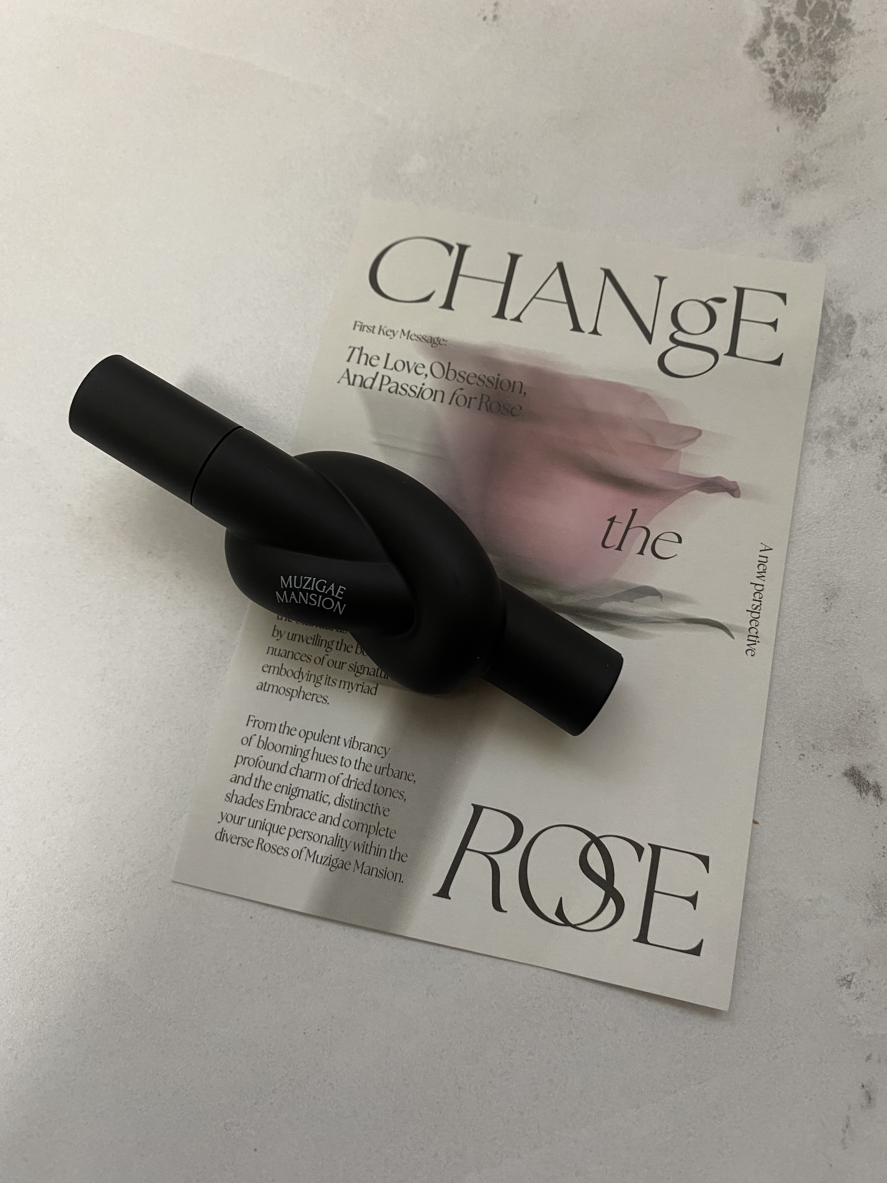 タイアップカバーティント 04 FADED FIG/MUZIGAE MANSION/リップティントを使ったクチコミ（1枚目）