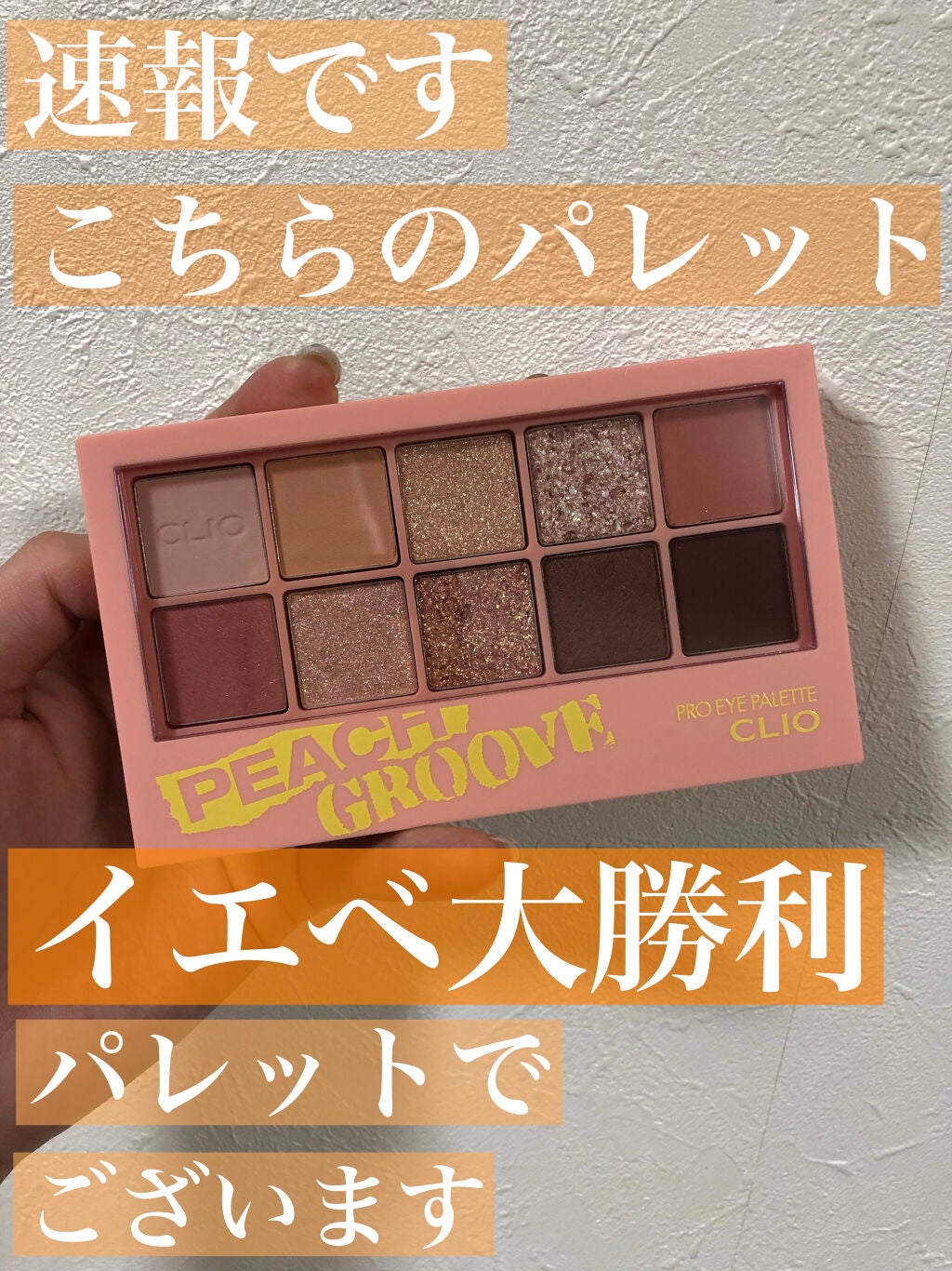 プロ アイ パレット/CLIO/アイシャドウパレットを使ったクチコミ(1枚目)