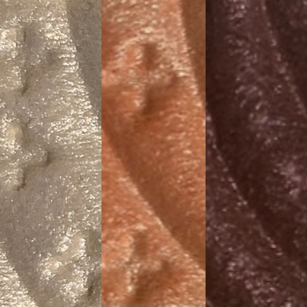 トーンアップアイシャドウ/CEZANNE/アイシャドウパレットを使ったクチコミ（2枚目）