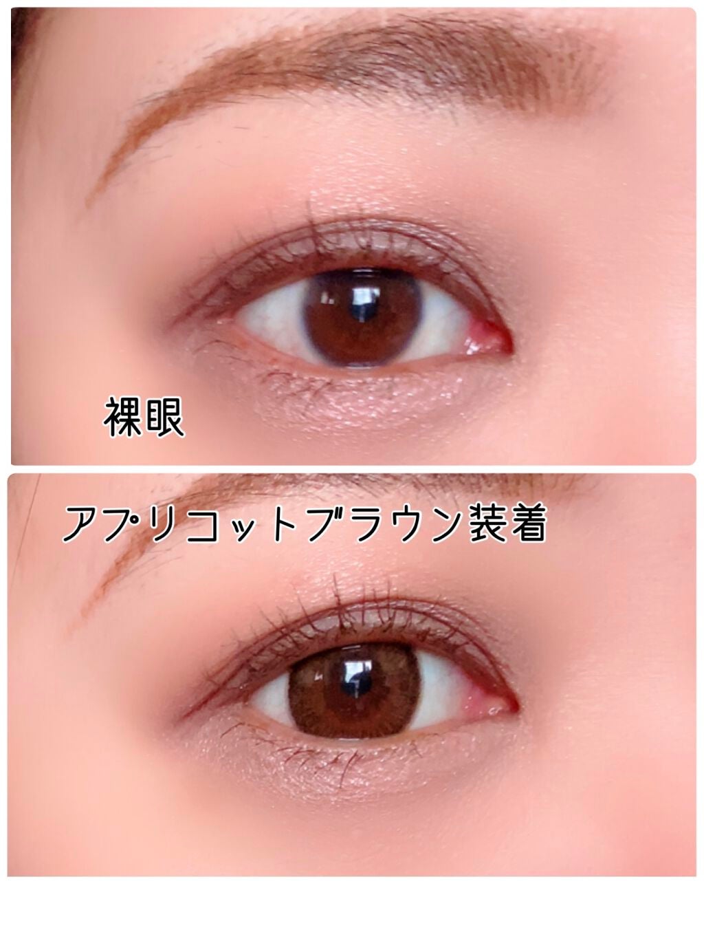 エバーカラーワンデー ナチュラル/エバーカラー/ワンデー(1DAY)カラコンを使ったクチコミ(5枚目)