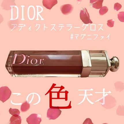 【旧】ディオール アディクト ステラー グロス/Dior/リップグロスを使ったクチコミ(1枚目)