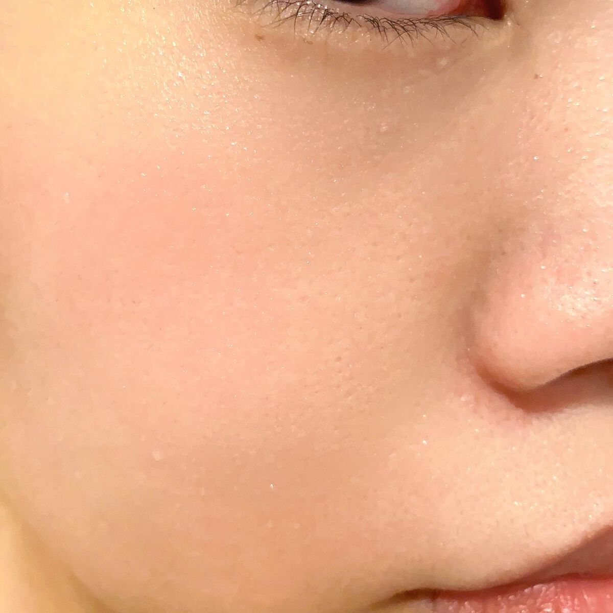 エンリッチ ミストローション/アルージェ/ミスト状化粧水を使ったクチコミ(2枚目)