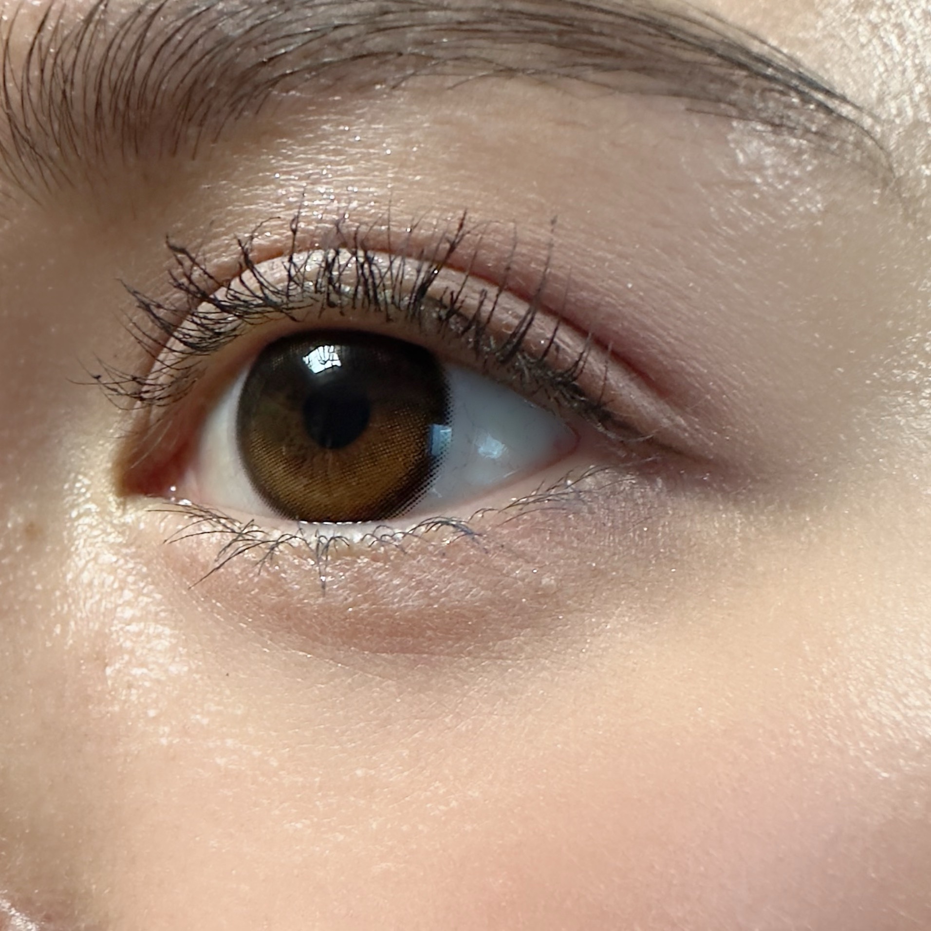 Glowy 1day/OLENS/ワンデー（１DAY）カラコンを使ったクチコミ（2枚目）