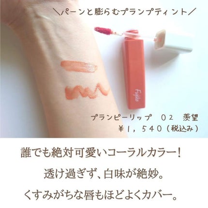 プランピーリップ/Fujiko/リップグロスを使ったクチコミ(2枚目)