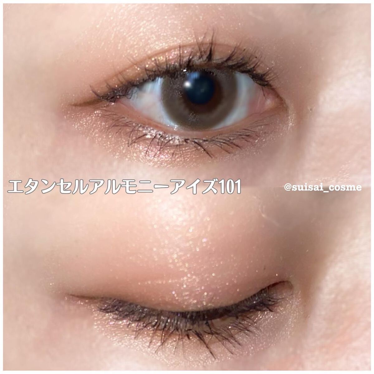 エレガンス エタンセル アルモニーアイズ/Elégance/アイシャドウパレットを使ったクチコミ(7枚目)