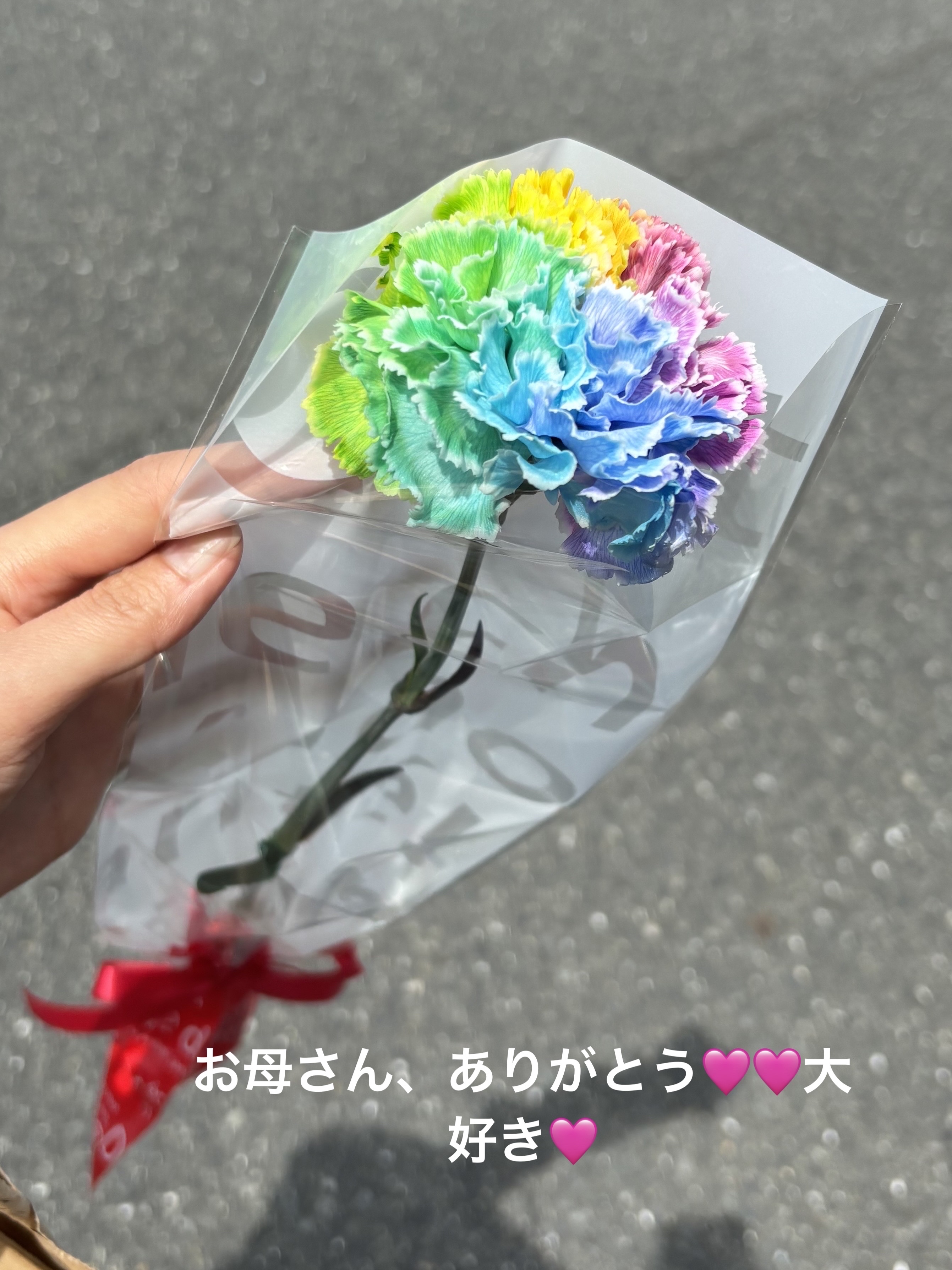 カーネーション柄　二十四種ぶれんど効茶/火の茶房 マルシェ/ドリンクを使ったクチコミ（1枚目）