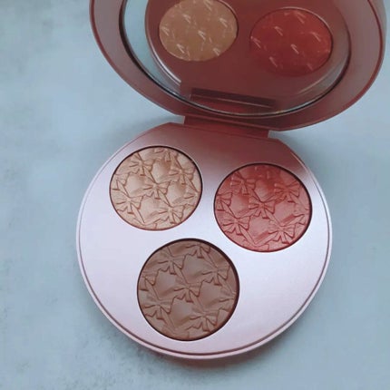 エファベセンス エクストラ ディメンション フェイス コンパクト/M・A・C/パウダーチークを使ったクチコミ(4枚目)