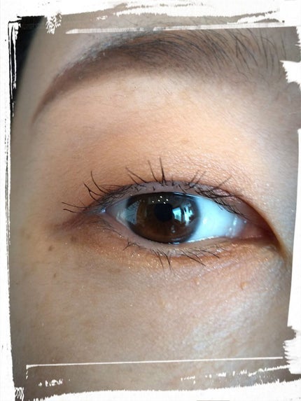 クォーツ 9色アイシャドウパレット(ドリームランドアイシャドウ)/ZEESEA/アイシャドウパレットを使ったクチコミ(5枚目)