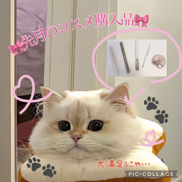 🎀〜先月の購入品コスメ紹介〜🎀


先月も自分に何点かコスメを購入したので、実際に使ってよかった点、感想をまとめました！！

デパコスは一切紹介してませんので（お金ねぇ…）

よければ皆さんもご参考程度