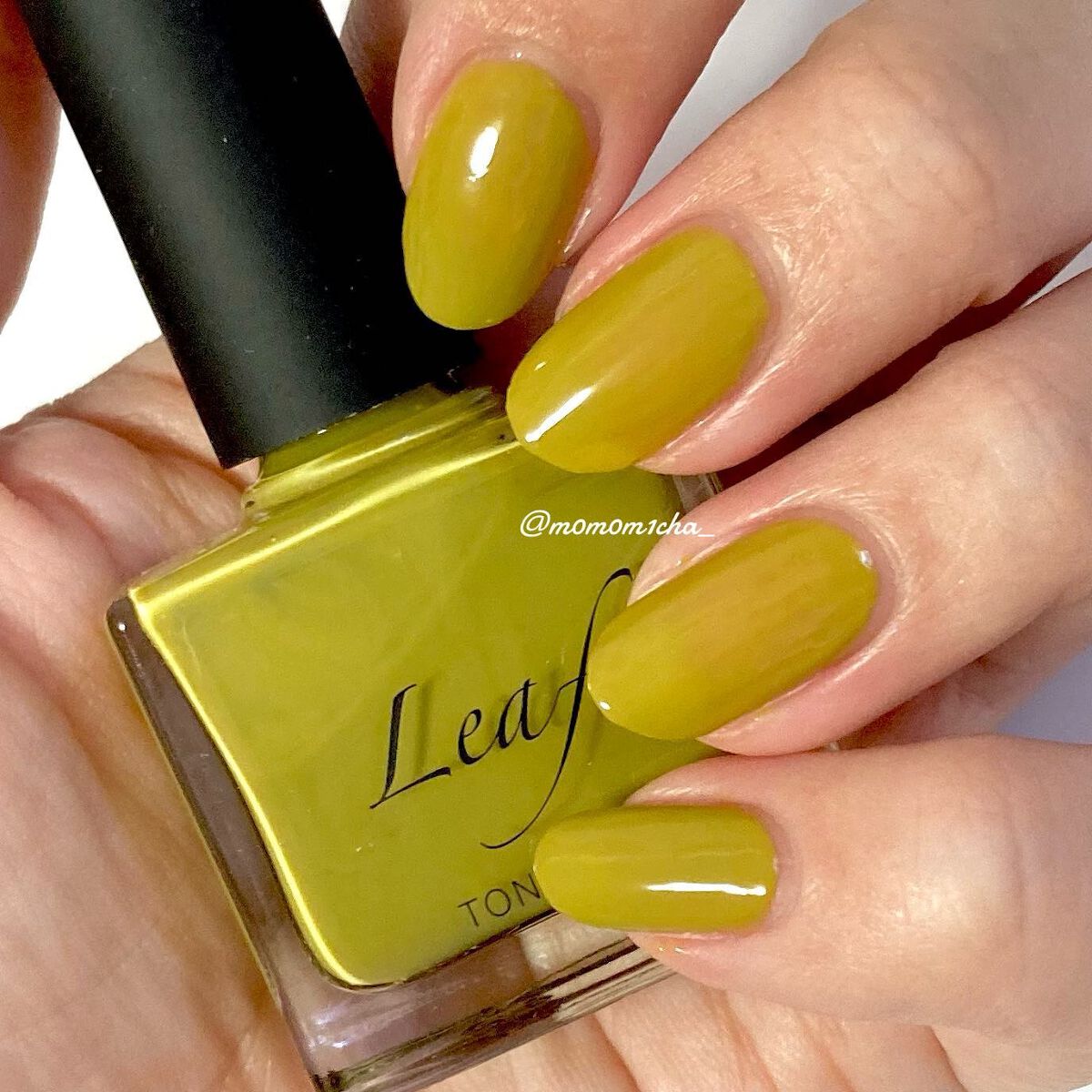 TONE DROP ネイルポリッシュ/D-UP/マニキュアを使ったクチコミ（2枚目）