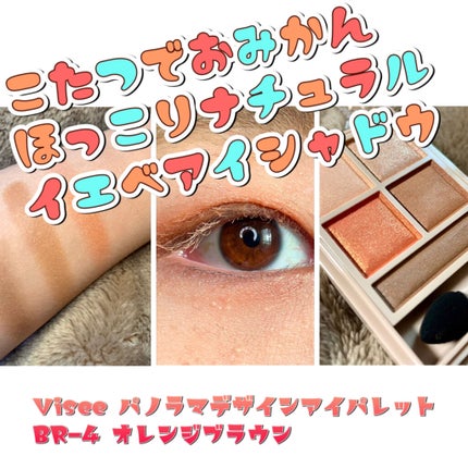 パノラマデザイン アイパレット/Visée/アイシャドウパレットを使ったクチコミ(1枚目)