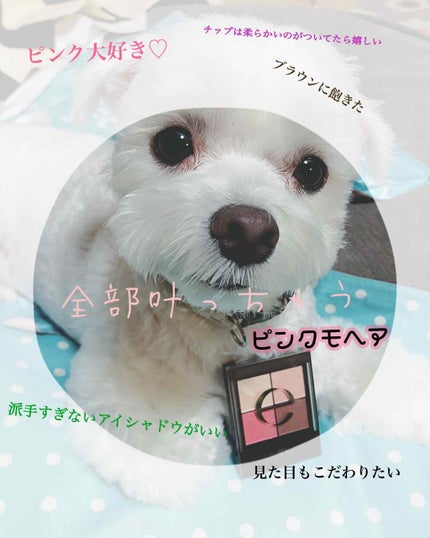 リアルクローズシャドウ/excel/アイシャドウパレットを使ったクチコミ(1枚目)