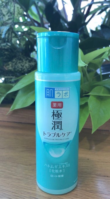 極潤 薬用ハリ化粧水【医薬部外品】/肌ラボ/化粧水を使ったクチコミ（3枚目）