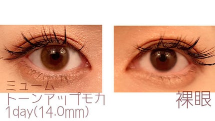 miium 1day/miium/ワンデー(1DAY)カラコンを使ったクチコミ(3枚目)