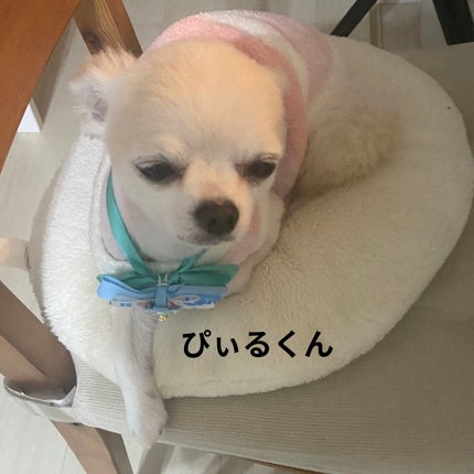 SHEINピアス/SHEIN/その他を使ったクチコミ(7枚目)