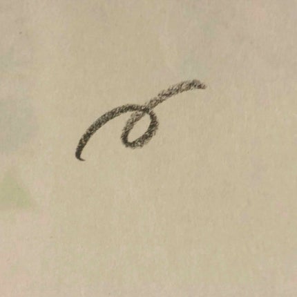 ペンシル型眉パウダー ステイナチュラR/デジャヴュ/アイブロウペンシルを使ったクチコミ(2枚目)