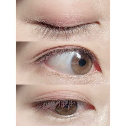 ブラーフィニシュシャドウパレット/Dinto/アイシャドウパレットを使ったクチコミ(2枚目)