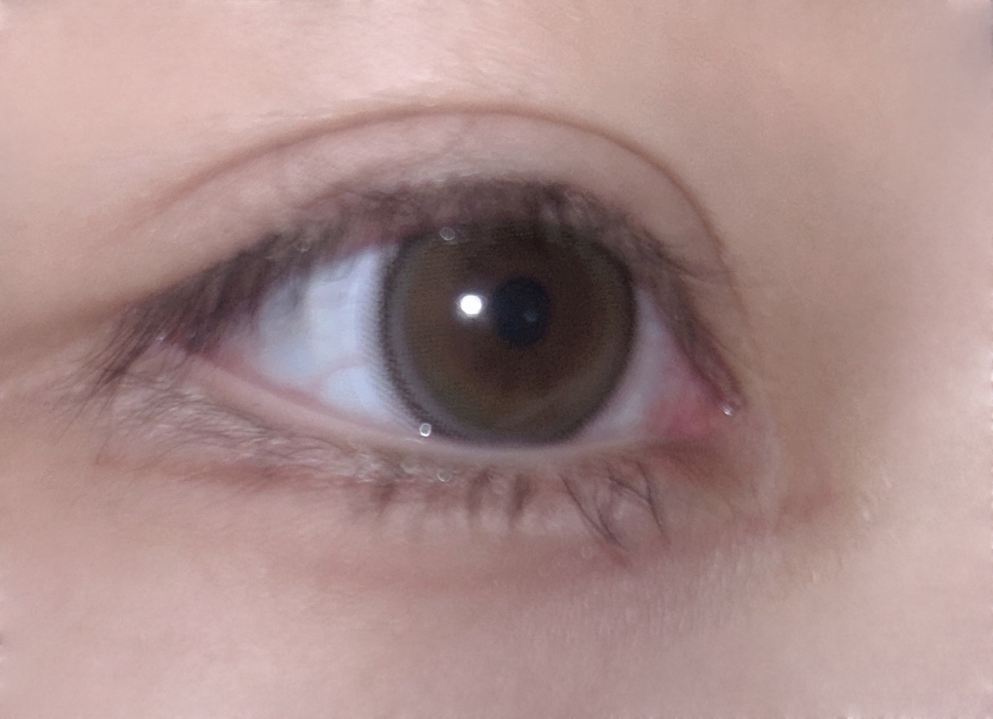 ネオサイトワンデー シエルUV 君のきらめき/Aire/ワンデー（１DAY）カラコンを使ったクチコミ（2枚目）