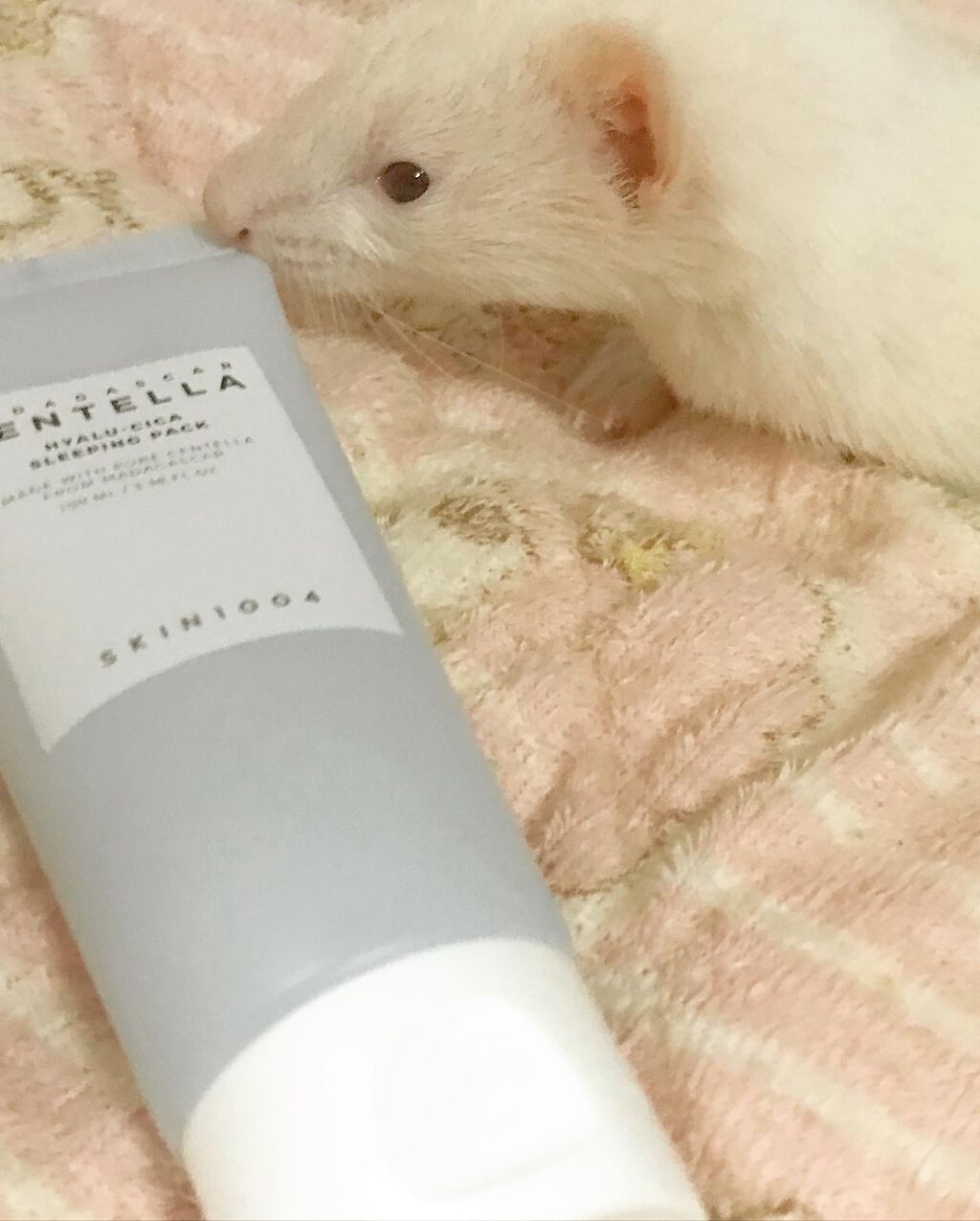 センテラ アンプル/SKIN1004/美容液を使ったクチコミ（3枚目）