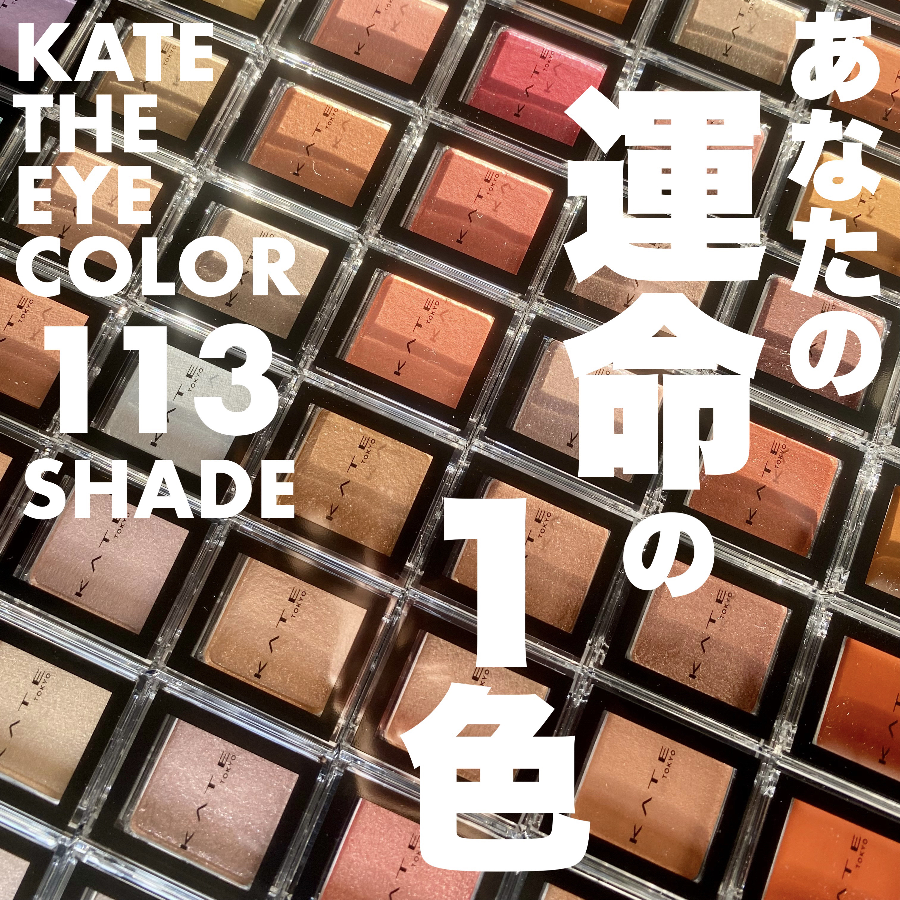 ケイト ザ アイカラー/KATE/単色アイシャドウを使ったクチコミ（1枚目）