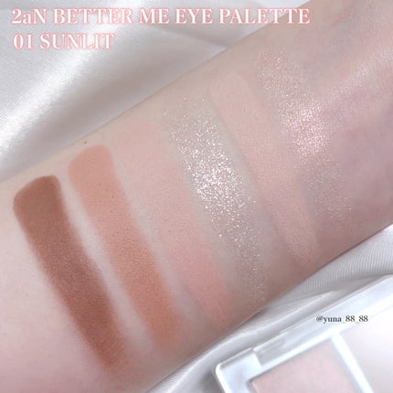 ベターミーアイパレット/2aN/マルチパレットを使ったクチコミ(5枚目)