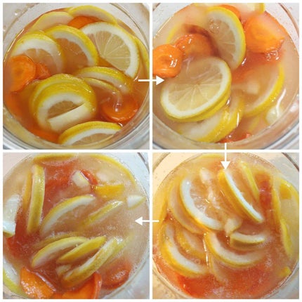 LiLi on LIPS 「自分でつくる生酵素ドリンクキット【おうちこうそのもと】----..」(6枚目)