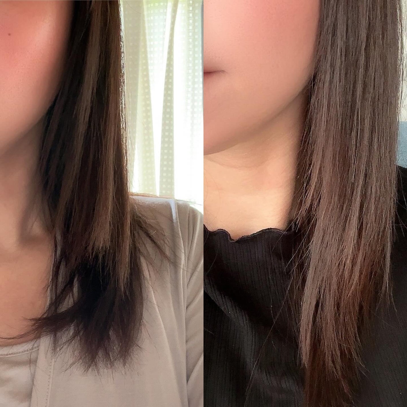 GLOSSY COAT SHAMPOO / TREATMENT/SANUS HAIR FILTER/市販シャンプーを使ったクチコミ(6枚目)