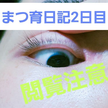 FEG  Eyelash  Enhancer/FEG/まつげ美容液を使ったクチコミ（1枚目）