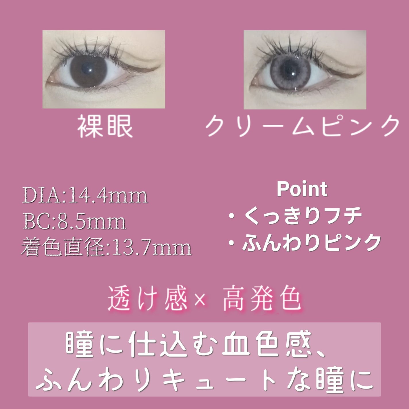 Angelcolor Bambi Series 1day /AngelColor/ワンデー(1DAY)カラコンを使ったクチコミ(2枚目)