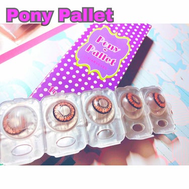 昨日買ったカラコン💕
ずーっと前から気になってた ぺこちゃんがイメモの【Pony Pallet】のローズ😍
とっても盛れます👌

着色直径は13.7mmだけど、かなりフチがあるからもっと大きめに見えます