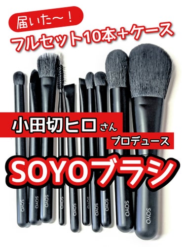 SOYO ディスカバー フルセット （10本＋ケース付）/SOYO/メイクブラシを使ったクチコミ（1枚目）