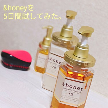 ディープモイスト シャンプー1.0／ヘアトリートメント2.0/&honey/シャンプー・コンディショナーを使ったクチコミ（1枚目）