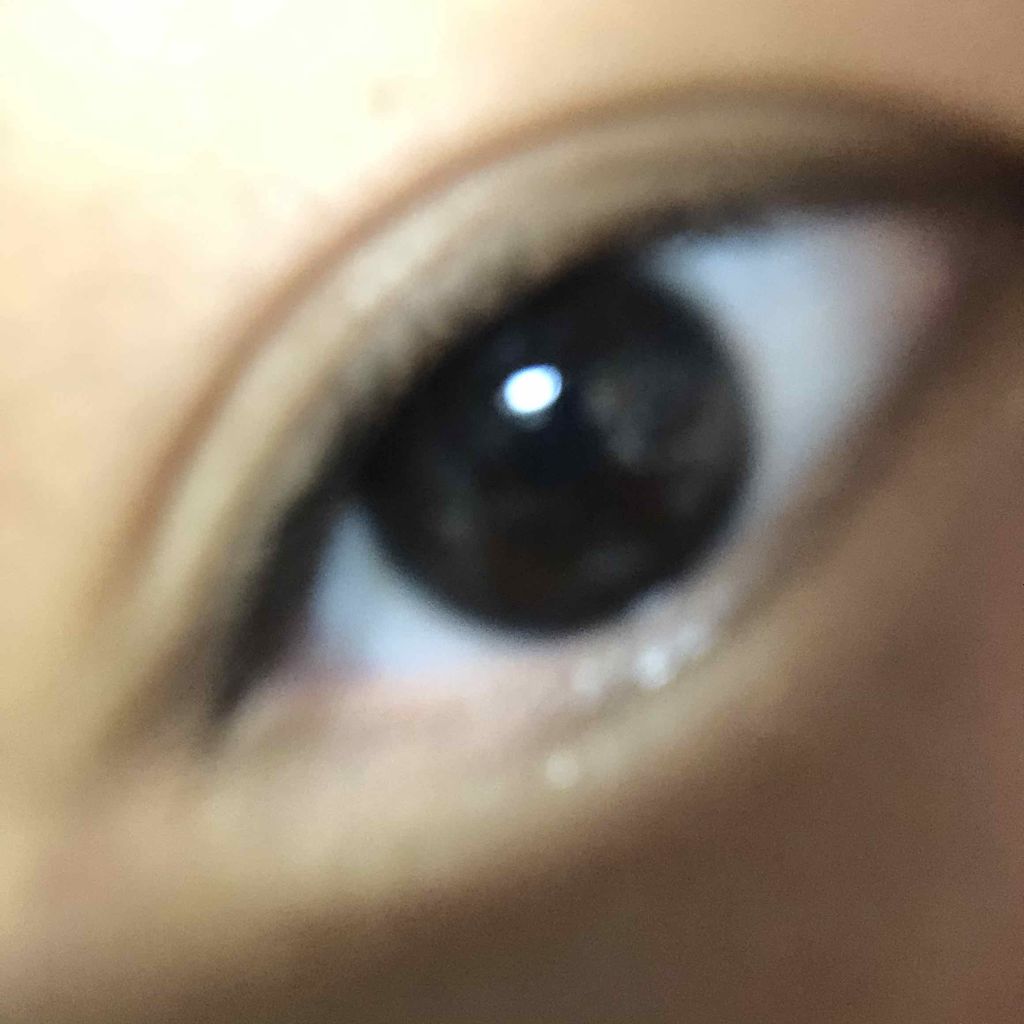 アイラッシュフィクサーEX 552/D-UP/つけまつげを使ったクチコミ(2枚目)