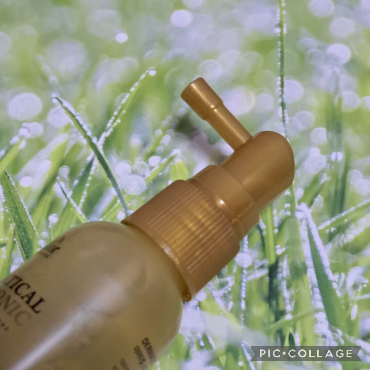 DERMATICAL SCALP TONIC/La'dor/頭皮ローションを使ったクチコミ（2枚目）