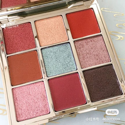 長相思シリーズ 9色アイシャドウパレット/CATKIN/アイシャドウパレットを使ったクチコミ(3枚目)