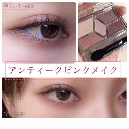 【旧品】パーフェクトスタイリストアイズ/キャンメイク/アイシャドウパレットを使ったクチコミ(1枚目)
