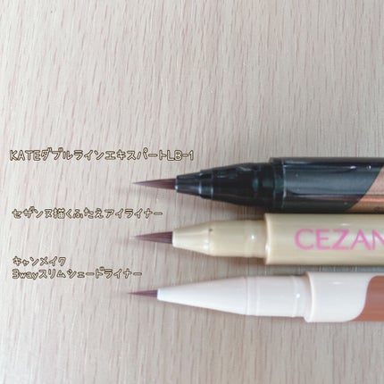 3wayスリムシェードライナー/キャンメイク/リキッドアイライナーを使ったクチコミ(3枚目)