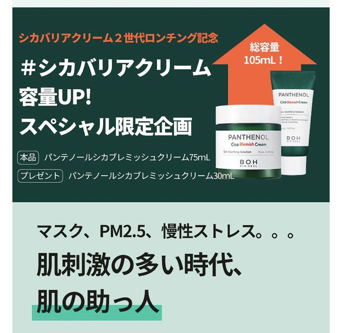 ダーマインテンシブシカパンテノールブラミッシュクリーム/BIOHEAL BOH/フェイスクリームを使ったクチコミ（3枚目）