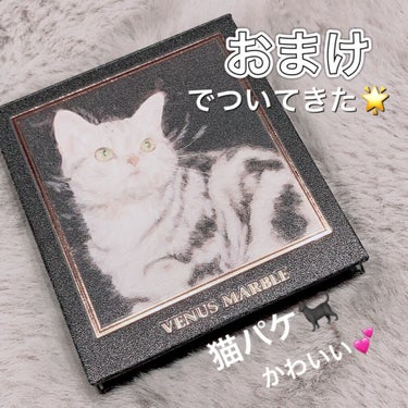 Venus Marble アイシャドウキャットシリーズ/Venus Marble/パウダーアイシャドウを使ったクチコミ（1枚目）