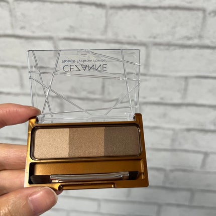 ノーズ&アイブロウパウダー/CEZANNE/パウダーアイブロウを使ったクチコミ(7枚目)