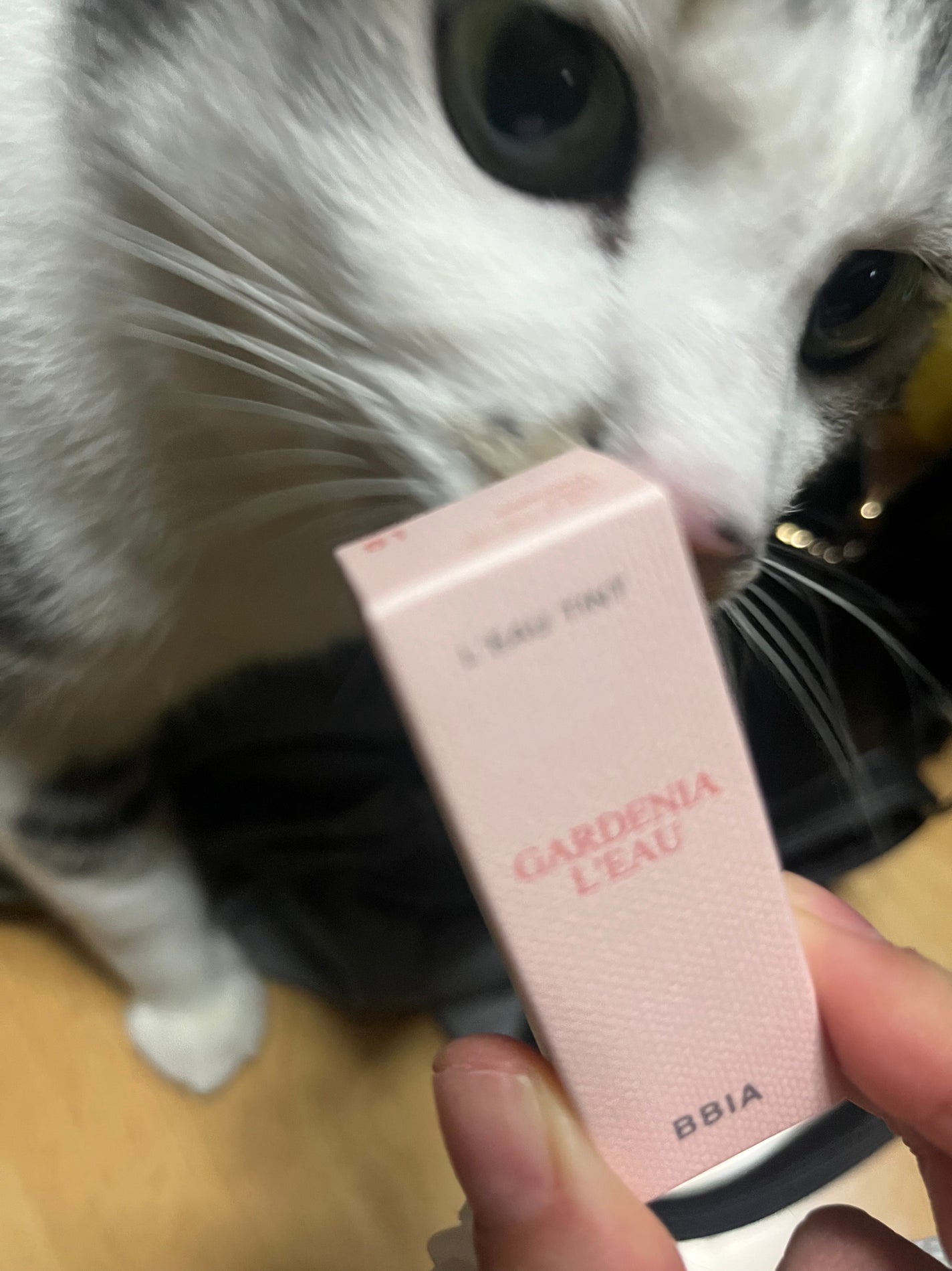 ローティント/BBIA/リップティントを使ったクチコミ(1枚目)