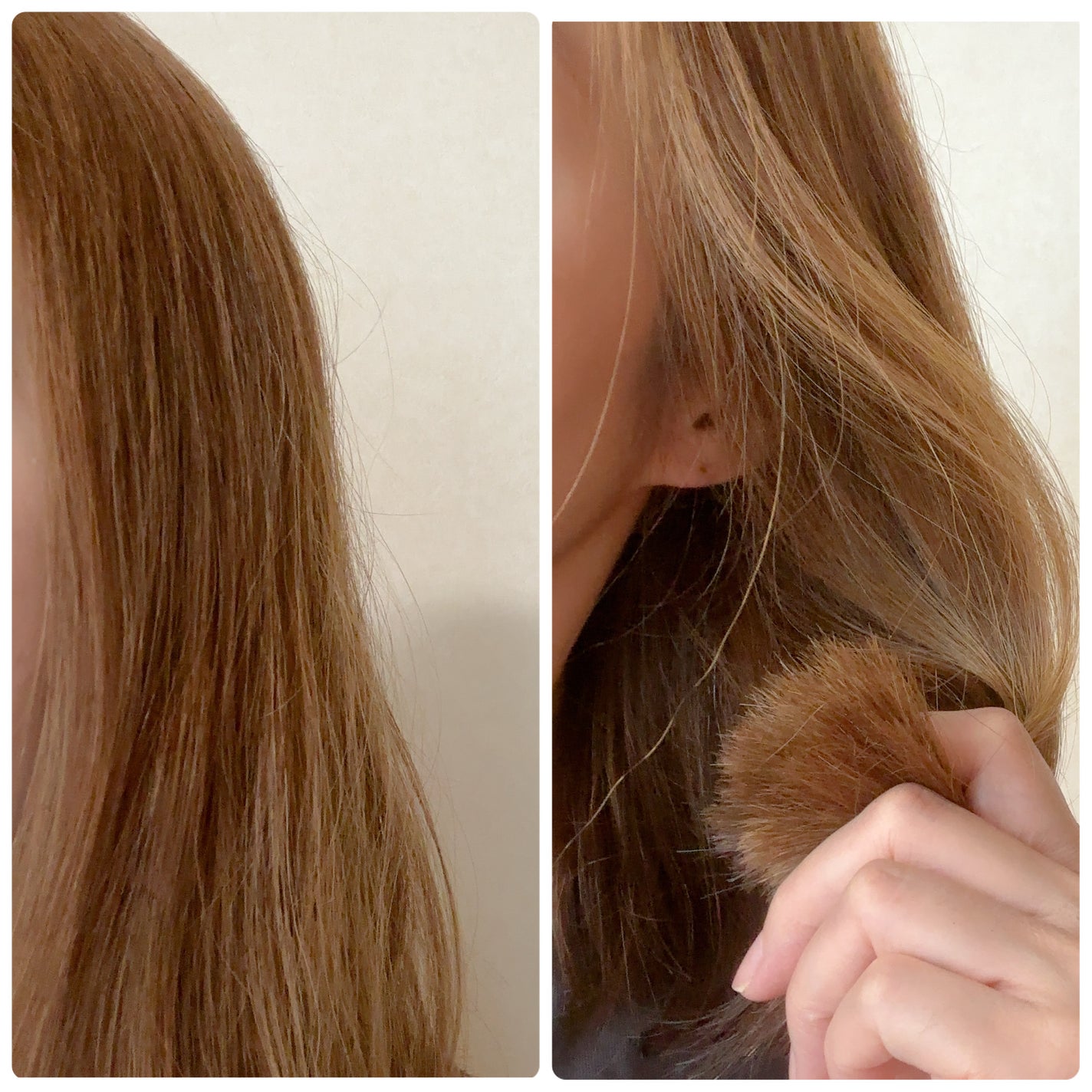 リアス ディープ モイスチャー シカ シャンプー/トリートメント/riasu/市販シャンプーを使ったクチコミ(2枚目)