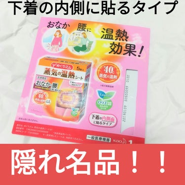 蒸気の温熱シート 下着の内側面に貼るタイプ/めぐりズム/その他を使ったクチコミ（1枚目）