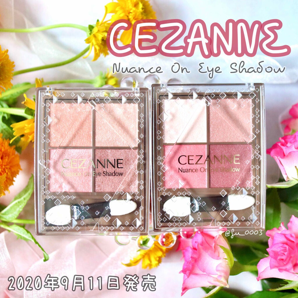 ニュアンスオンアイシャドウ/CEZANNE/アイシャドウパレットを使ったクチコミ(1枚目)