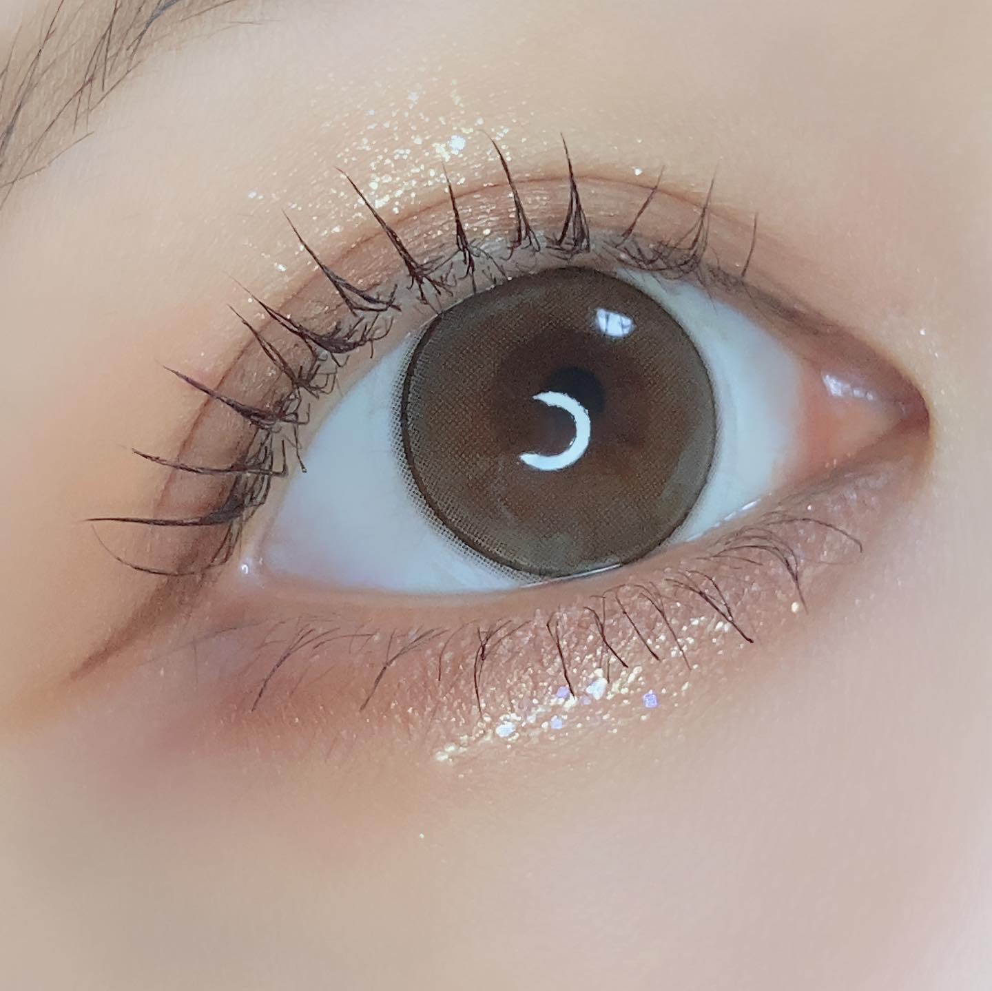 melady 1day アイドルリング/melady/ワンデー（１DAY）カラコンを使ったクチコミ（3枚目）